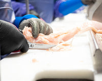 Wolff Industries produces the best boning knife for poultry in the business, which helps this worker process meat quickly and efficiently.