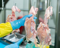 Wolff poultry knives in use on a processing line.