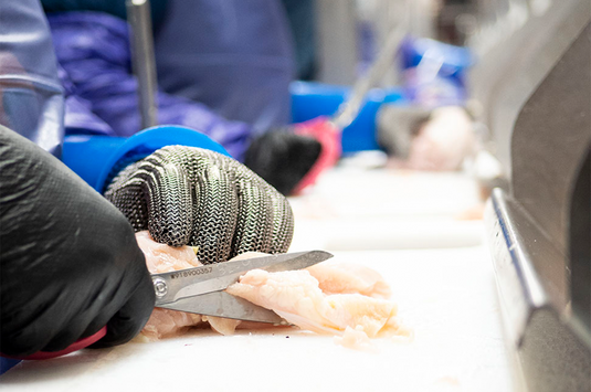 How to Choose the Right Poultry Processing Scissors & Knives