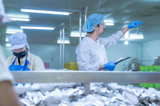 Supervisor at seafood processing plant inspecting freshly cut fish