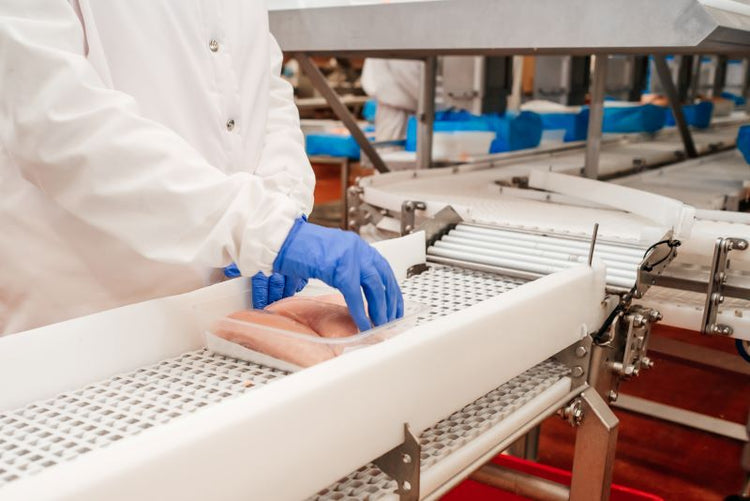 Common Problems with Commercial Food Processing Knives