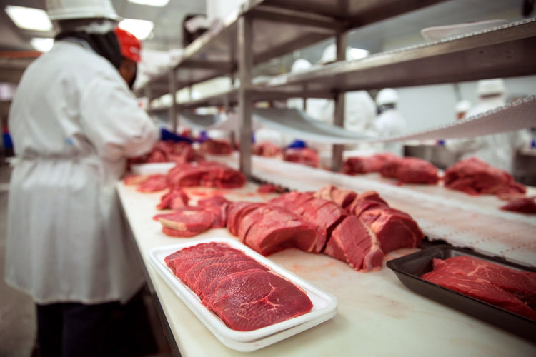 Beef processing line