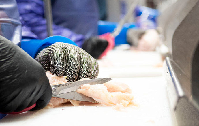 What Are the Biggest Problems With Poultry Shears?