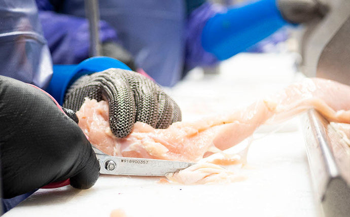 Increasing Industrial Poultry Processing Yield With Better Shears & Knives