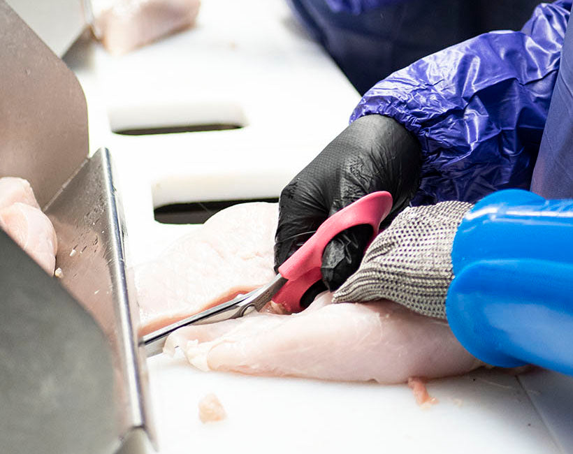 using dull shears in poultry processing can result in repetitive motion injuries to workers on the line