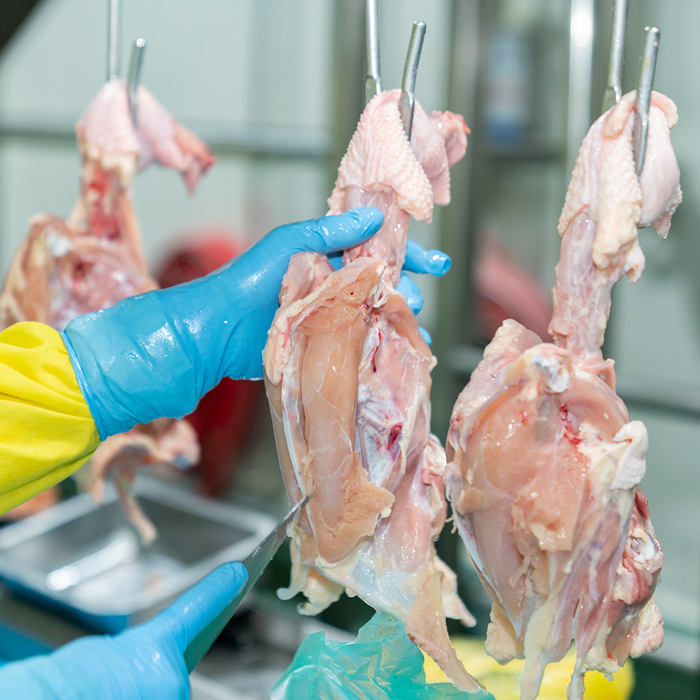 A production line worker using a sharpened poultry processing knife to trim the chicken.