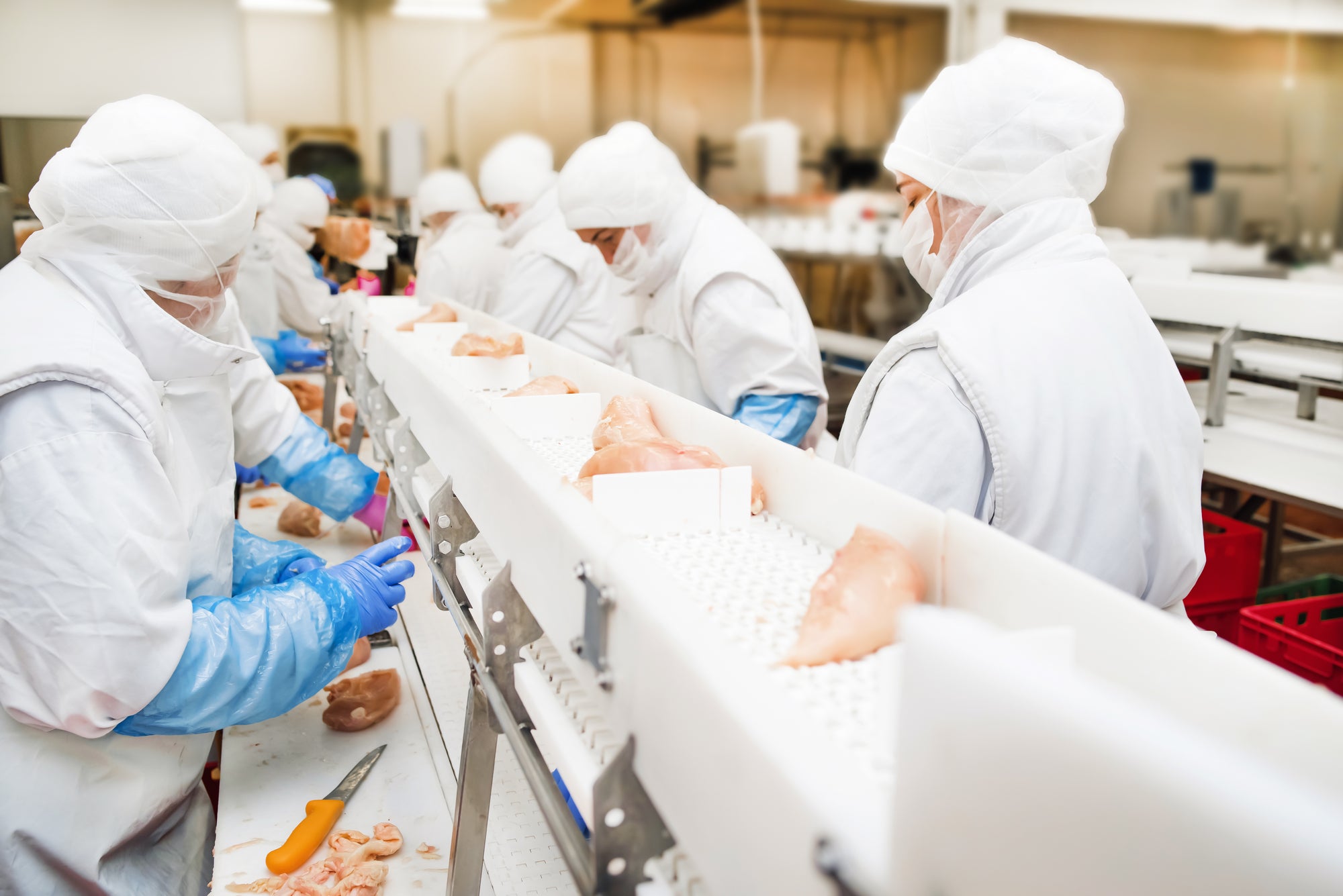 Poultry Processing – Wolff Industries, Inc.