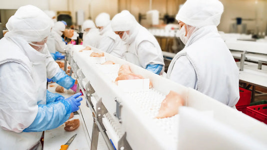 A poultry worker cutting a chicken using a Wolff poultry processing blade.